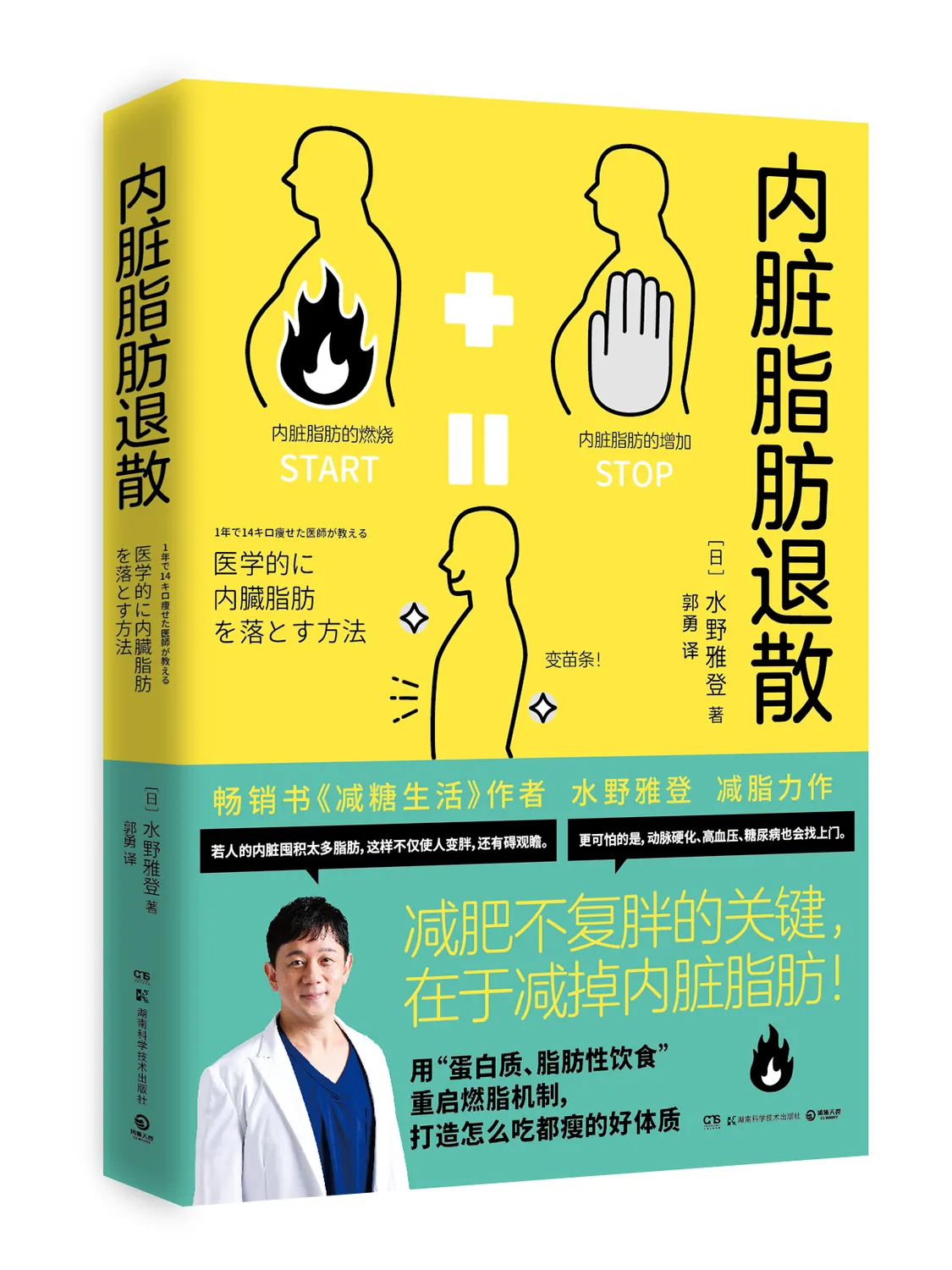 《内脏脂肪退散》：科学拆解健康隐形杀手的生活调理指南